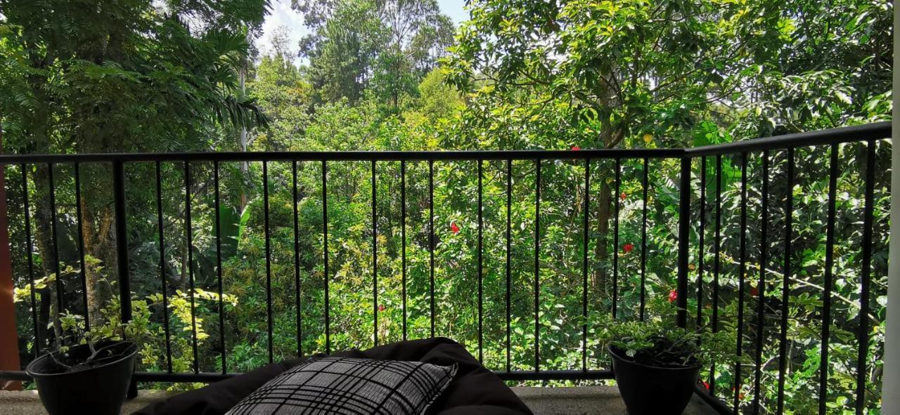 Tantra Ella Lodge Εξωτερικό φωτογραφία